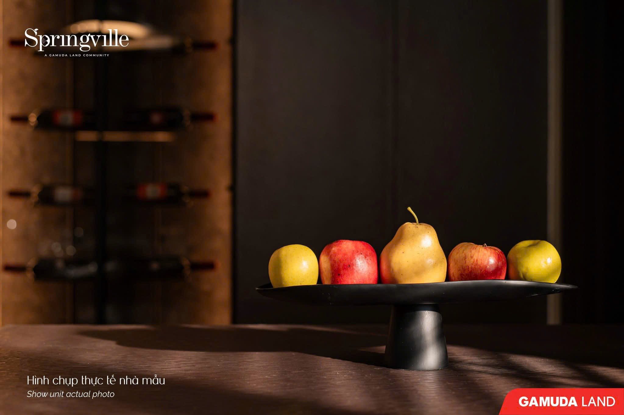 GAMUDA SPRINGVILLE SHOPHOUSE SHOWUNIT - ACTUAL PHOTO-14