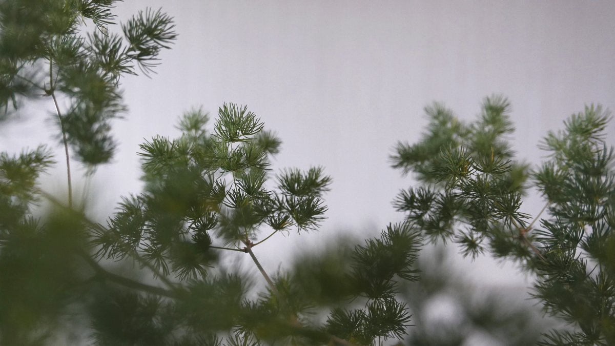 0932 设计·R35 新加坡-12