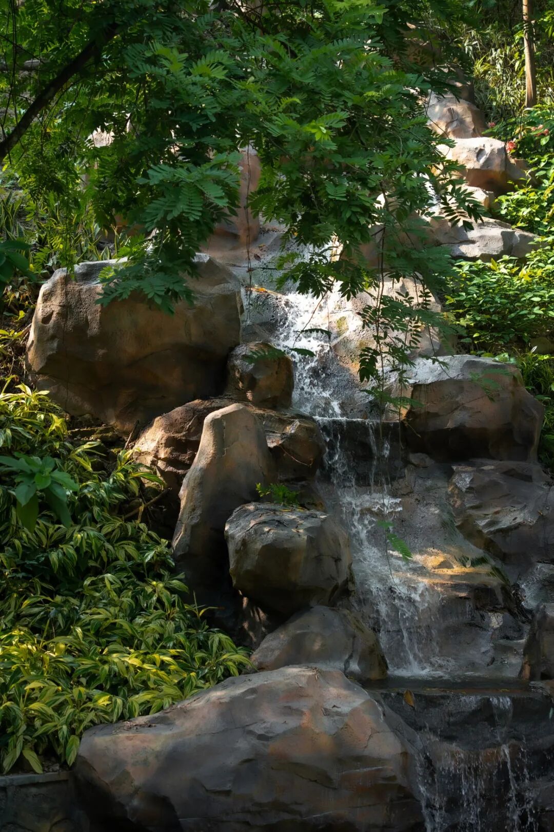 广东温泉宾馆松园一号户外园林景观改造工程丨中国广州-17