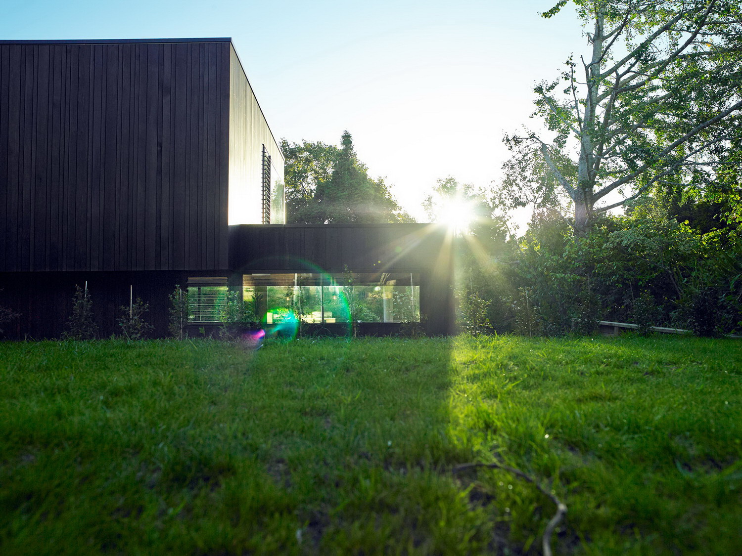 新西兰森林中的木制住宅-21