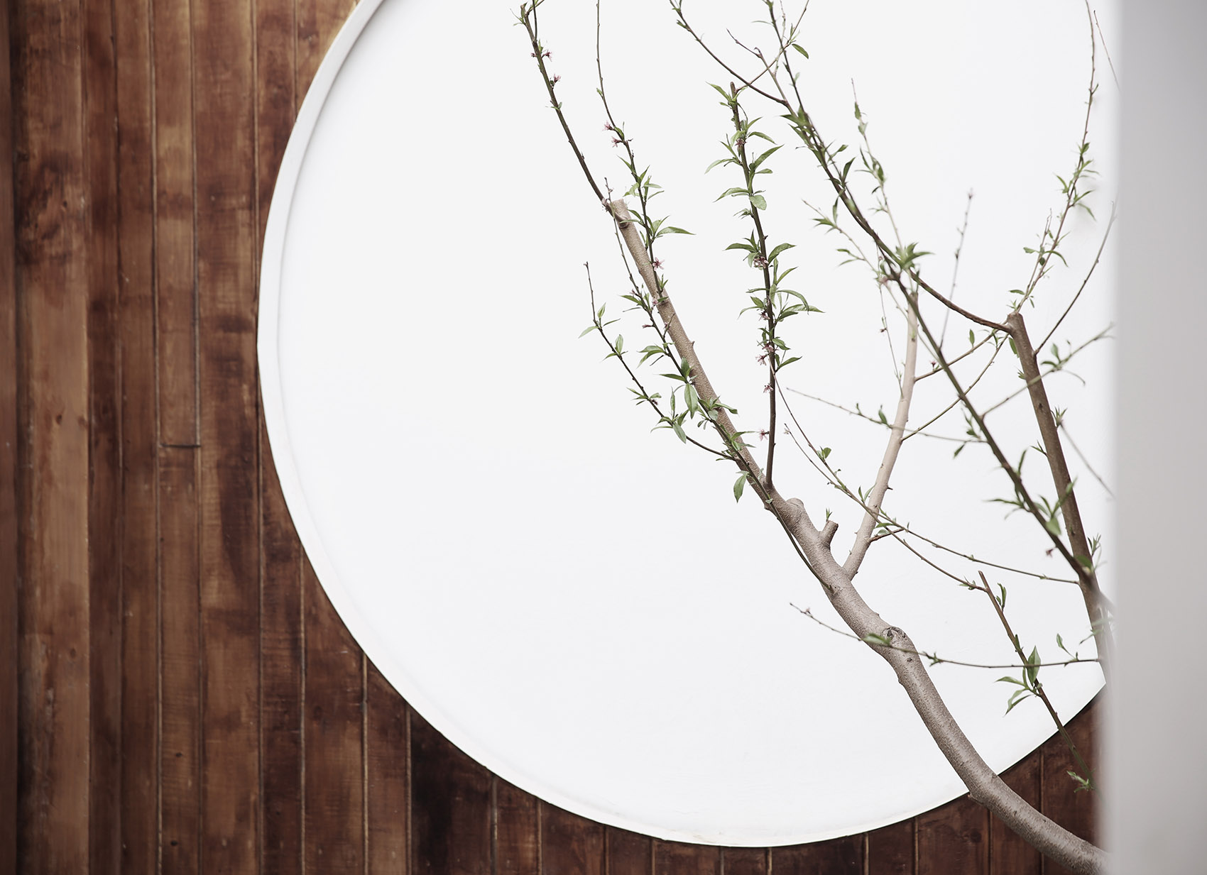 北京五道营“蕊工坊” | 小山丘舍设计-4