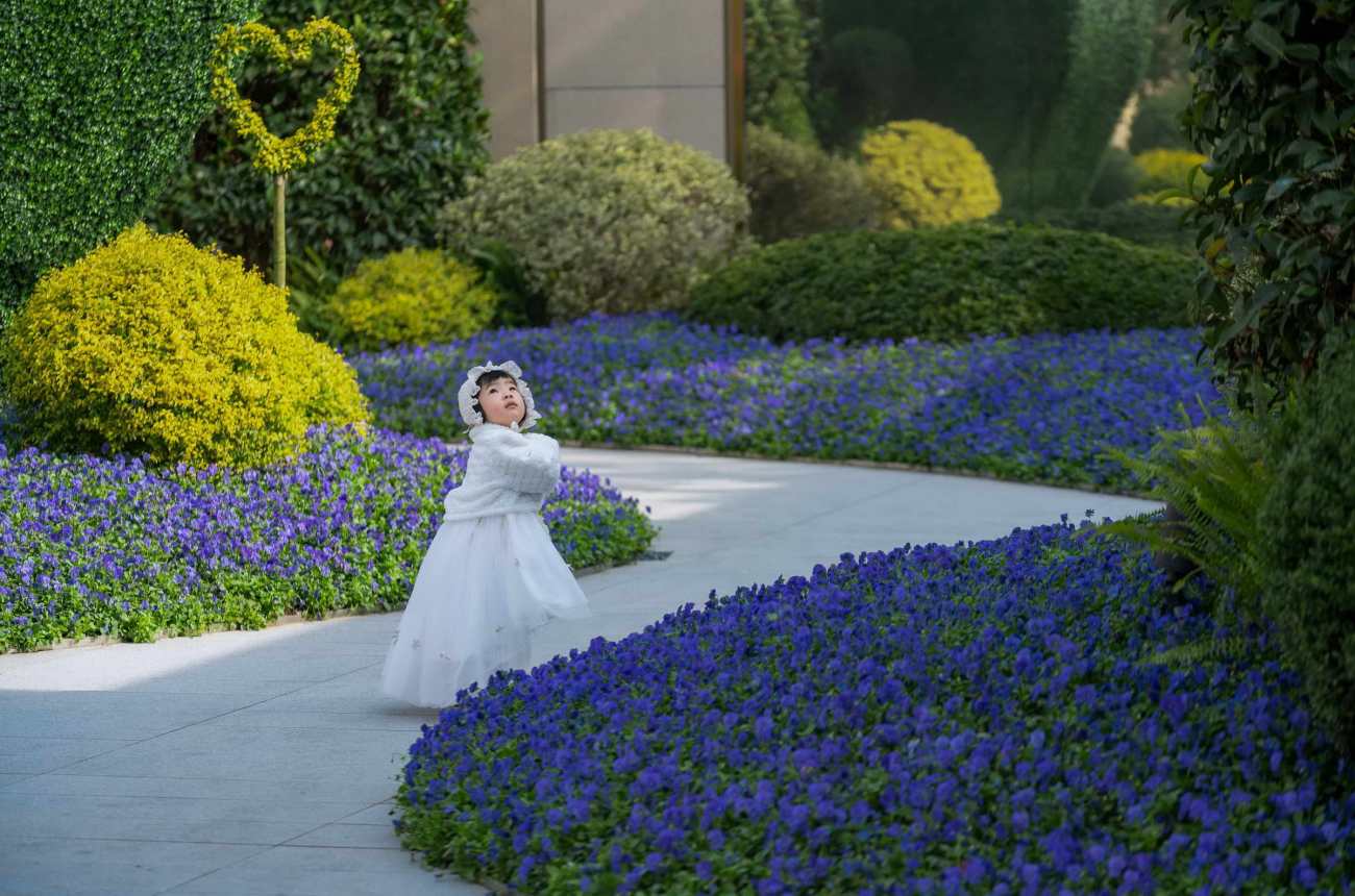 上海金地嘉悦湾【皇后的POKER花园】丨中国上海丨朗道国际设计-11