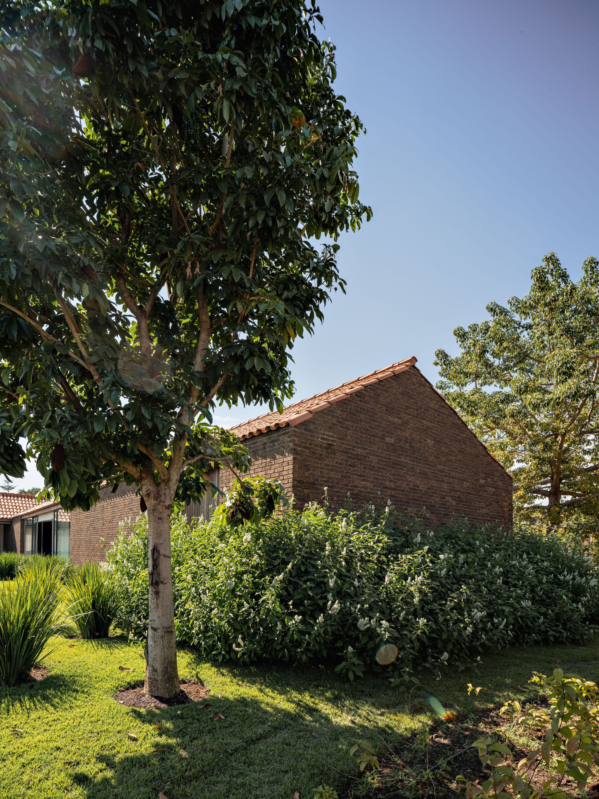 丨巴西圣保罗丨Felipe Hess Arquitetos-32