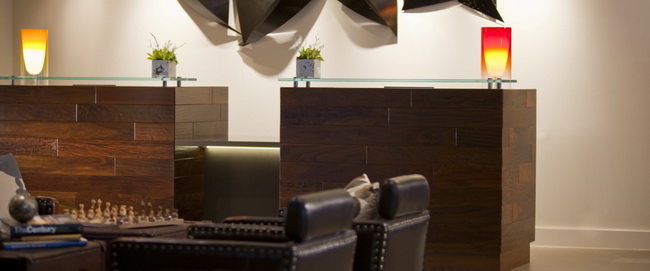 现代主义的酒店   The Baronette Renaissance Hotel  D ash Design-13