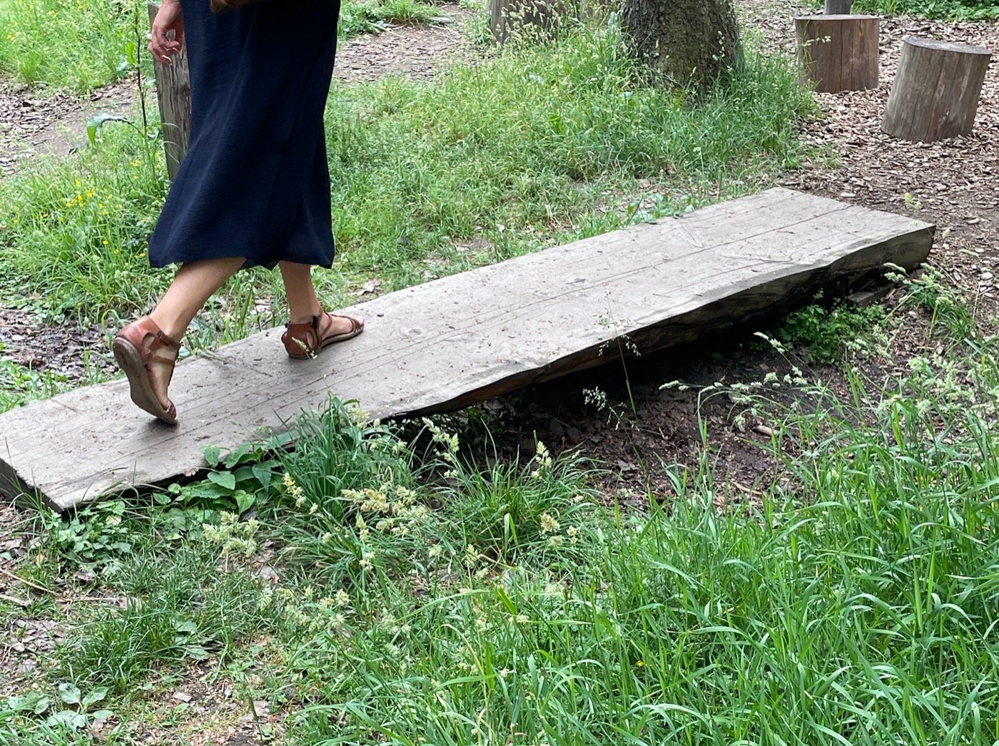 挪威气候花园-14