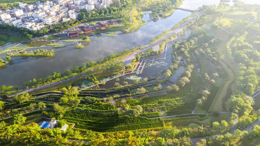 海口市美舍河凤翔湿地公园丨中国海口丨土人设计-11