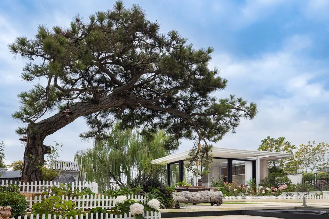 中隐之家丨形雅艺术设计-11