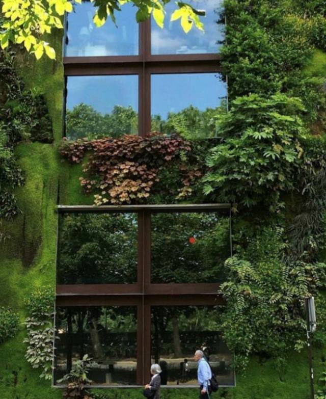 绿先生 | 把热带雨林搬进城市的垂直花园之父-46