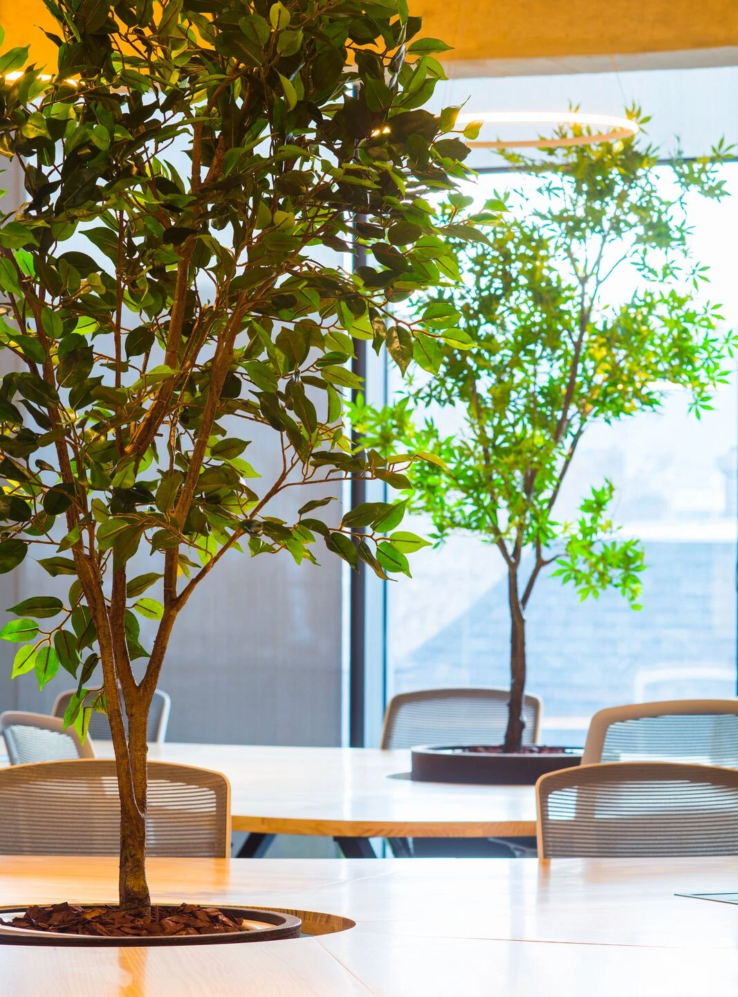 智利圣地亚哥 Grupo Patio 办公室·人性化,灵活,创新设计-36