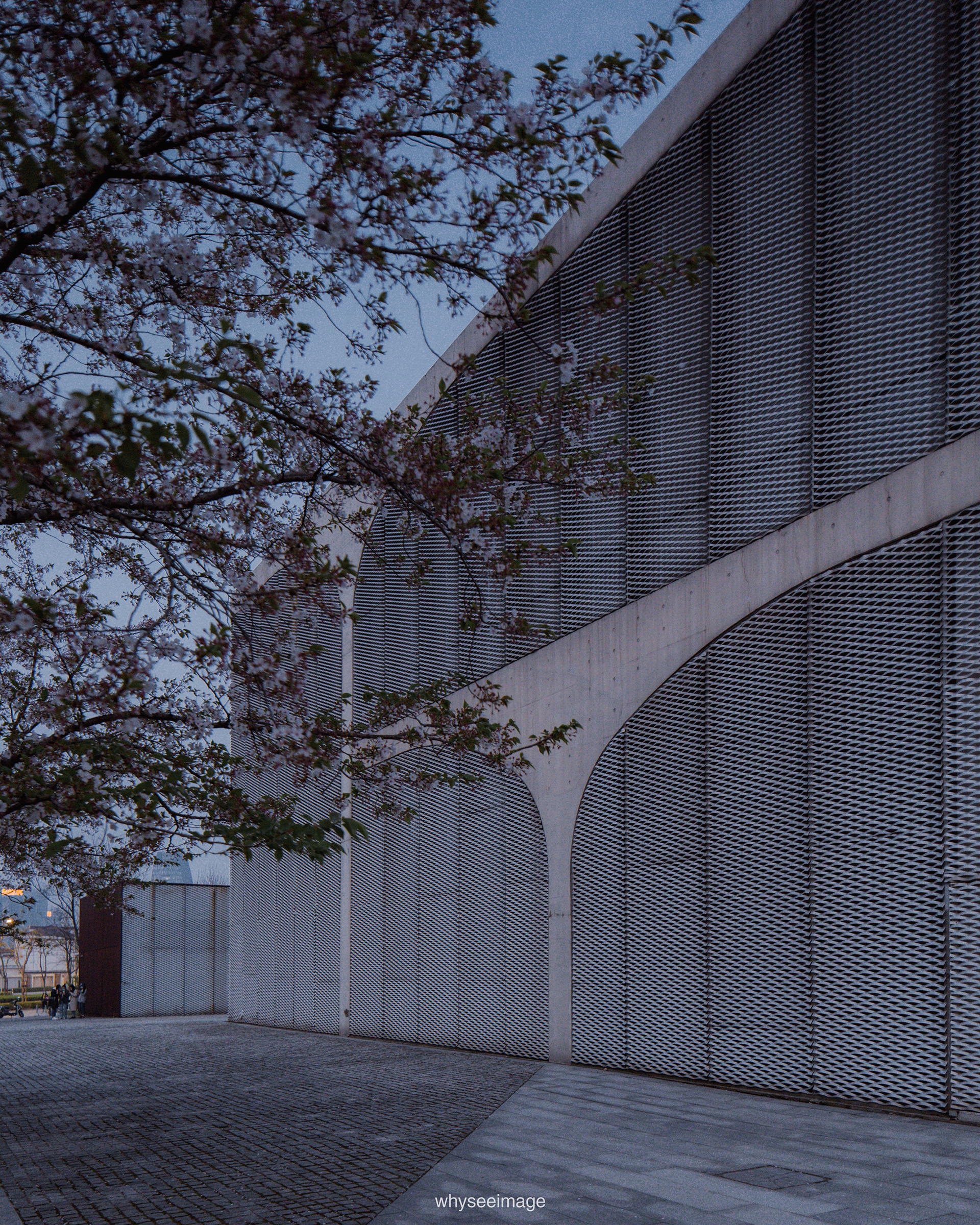 樱花+龙美术馆丨中国上海丨大舍建筑设计工作室-162