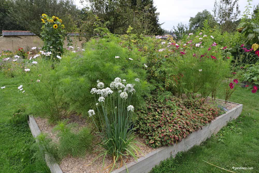 爱都（Ar Duen）菜园丨法国-6