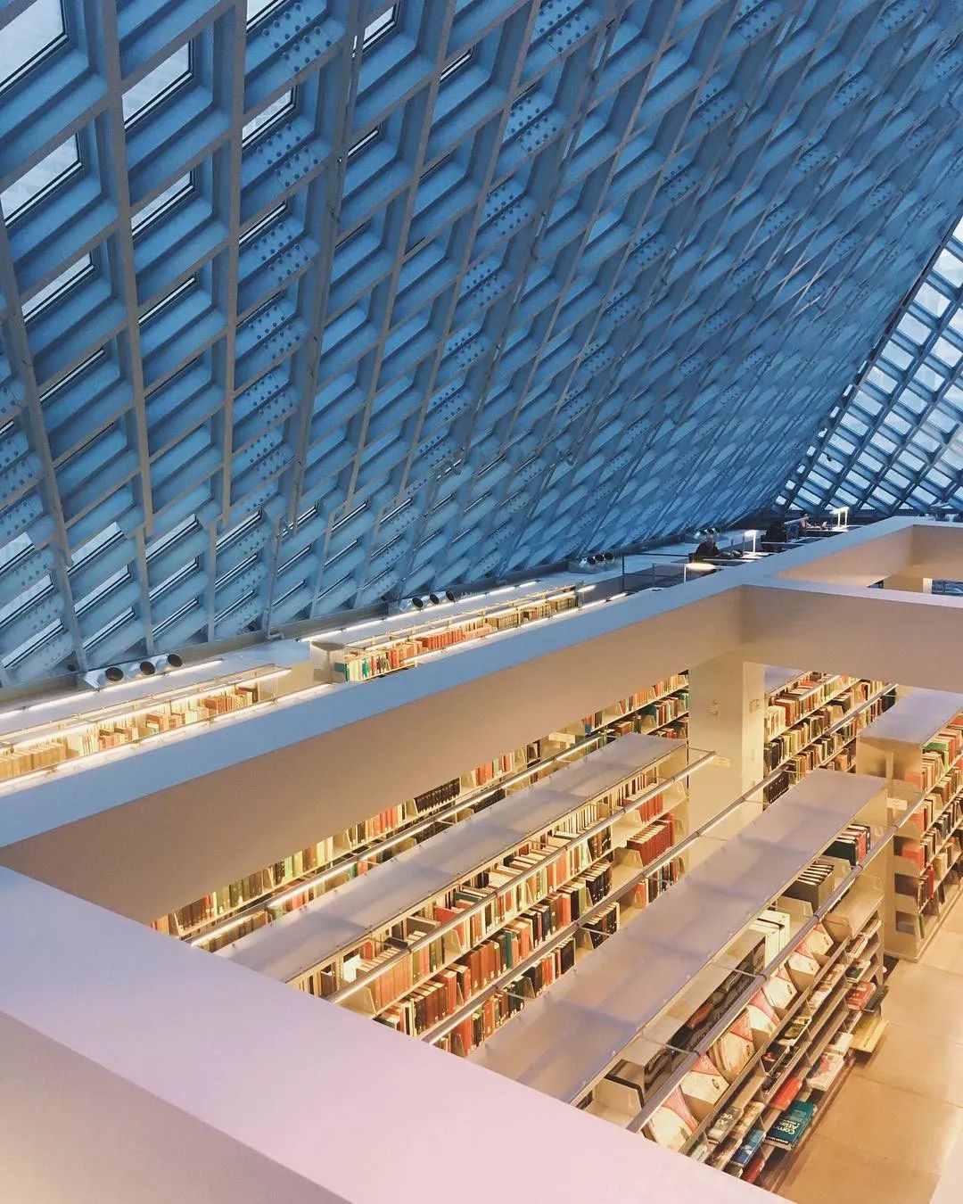 全球「最美图书馆」大赏 | 书香宁静，自然美好-32