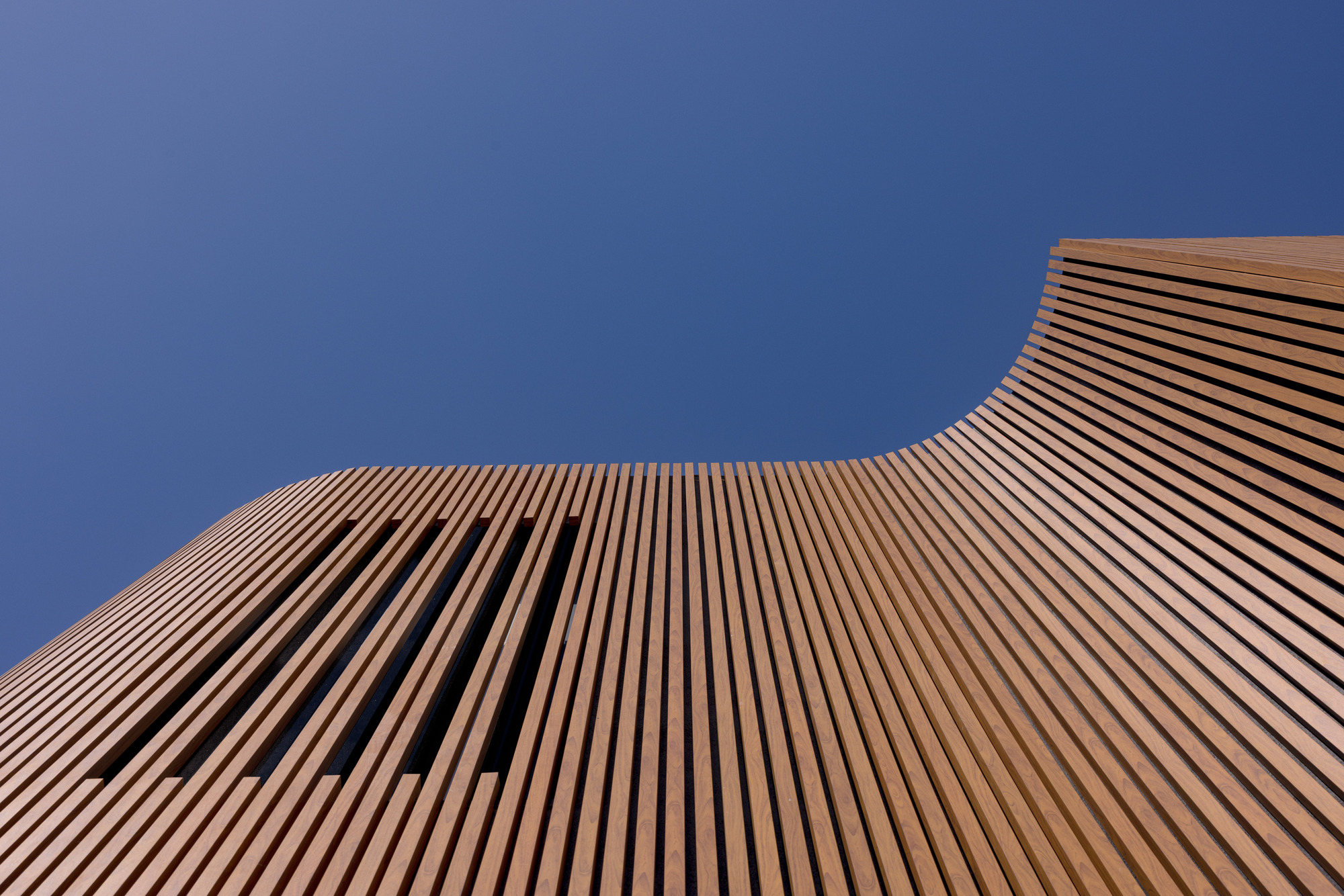 别墅丨澳大利亚悉尼丨George Banks Architecture-23