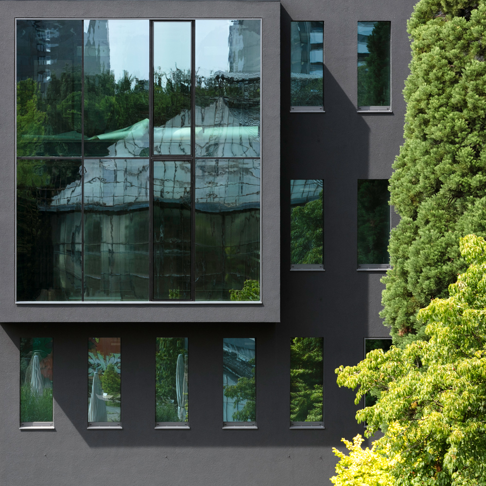 黑 façade 的集成感染疾病研究中心(CIID)-2