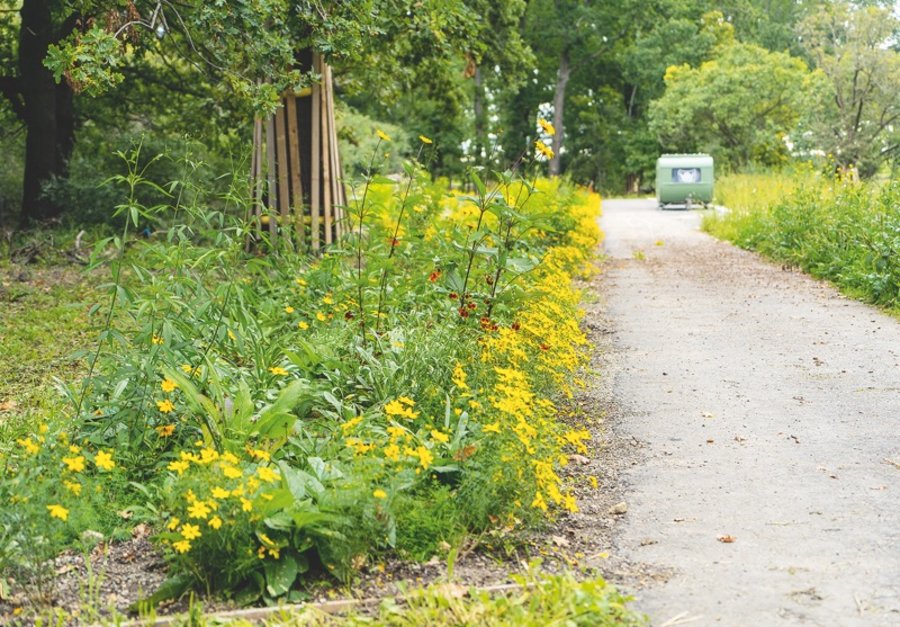 “Junge Gärten Torgau”（图尔高年轻花园）丨德国丨Station C23（莱比锡工作室）-29