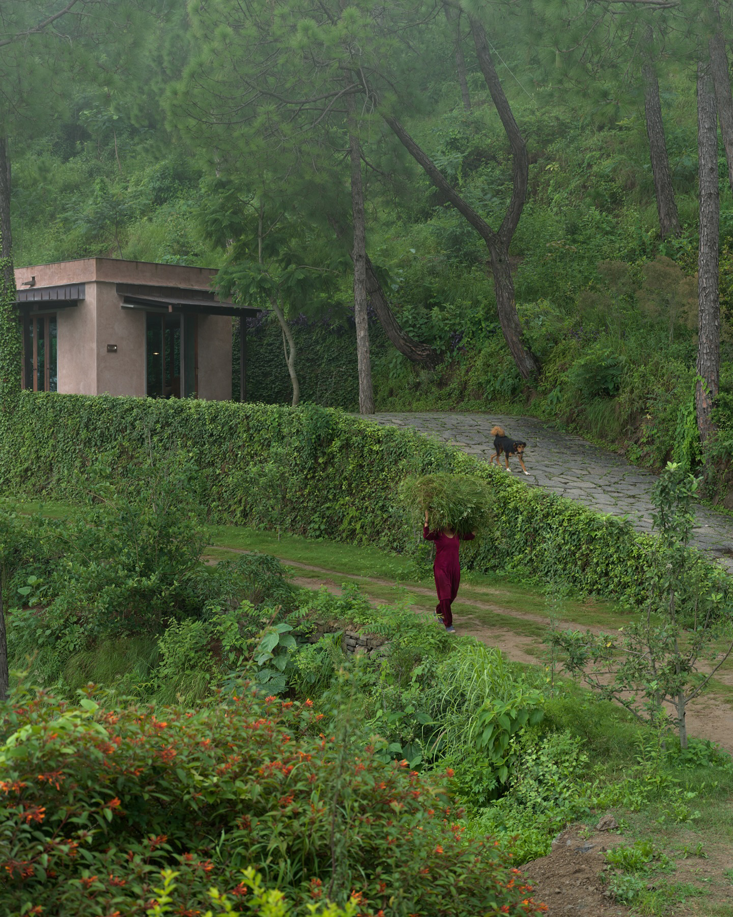 印度隐世酒店Amaya丨建筑Bijoy Jain,室内伦敦Viewport Studio-50