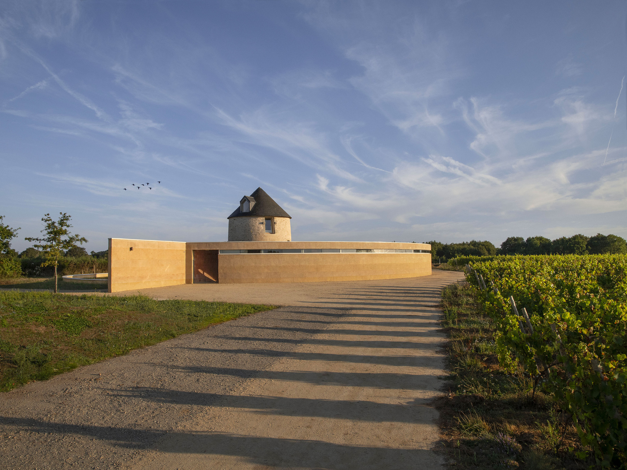 磨坊改造与酒庄建设丨法国丨Carmen Maurice Architecture-30