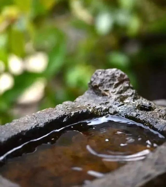 诗意栖居 | 知名设计师打造的生活艺术空间-0
