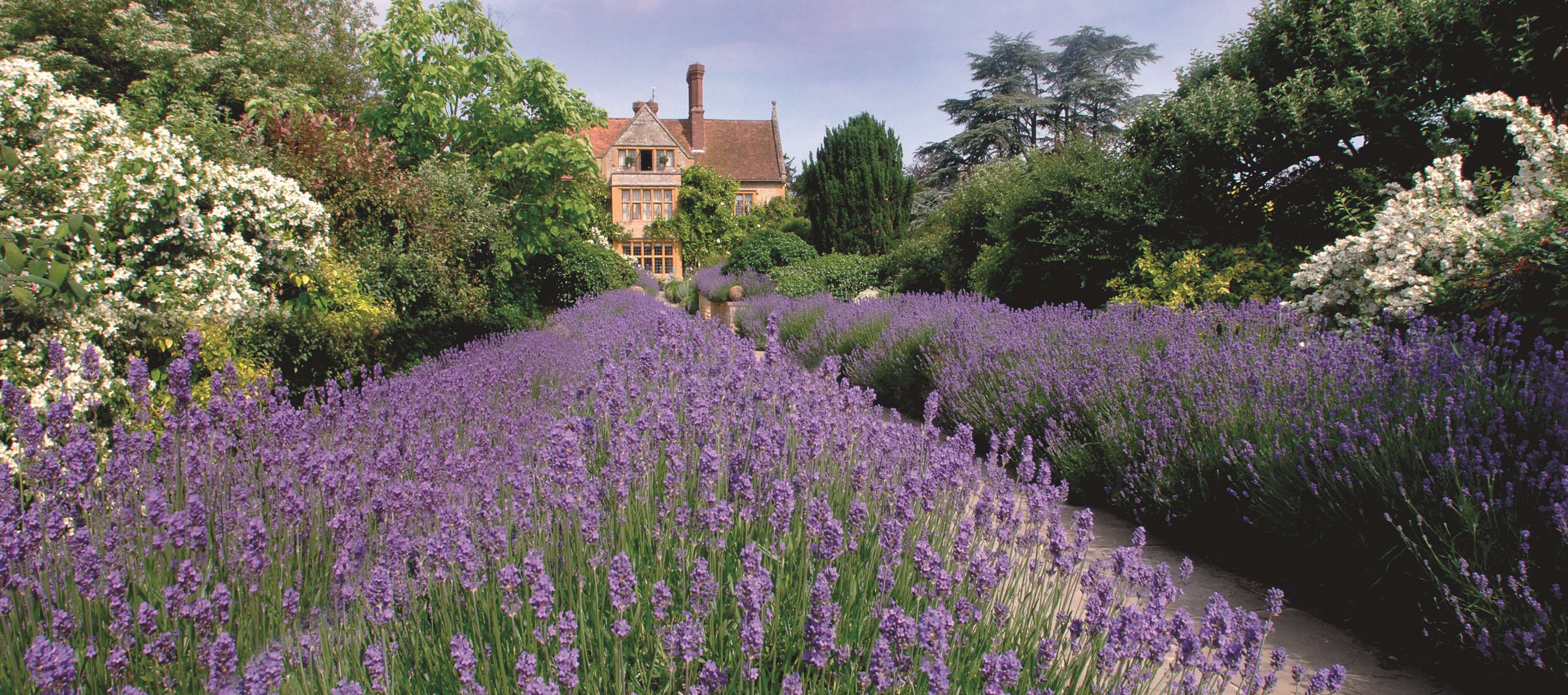 英国Le Manoir aux Quat'Saisons未上架-43