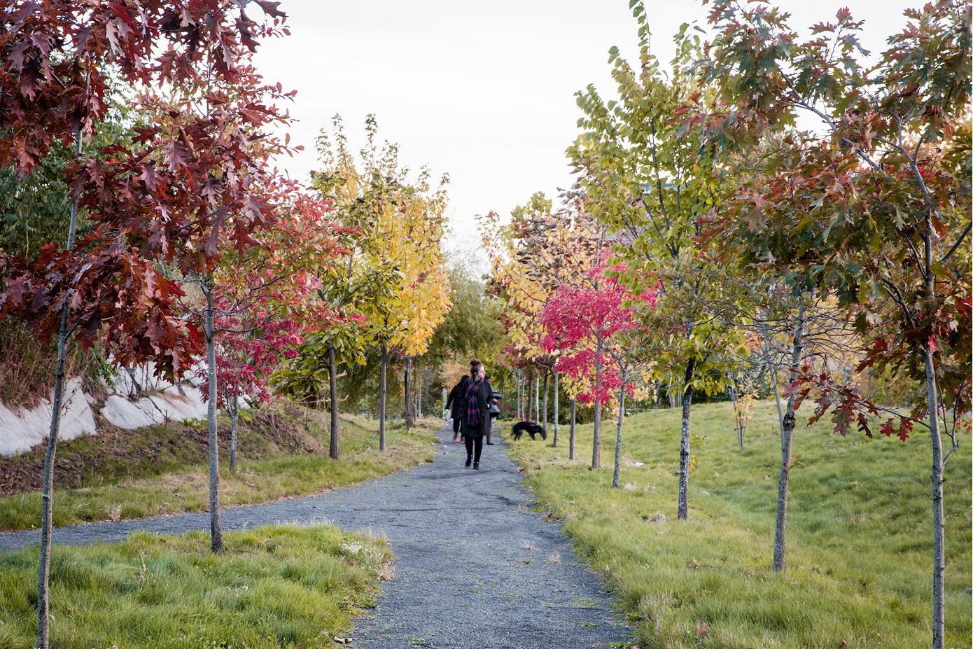 工业遗址重生 · 马萨诸塞州铸铁厂公园的绿色转型丨意大利马萨丨STIMSON-54