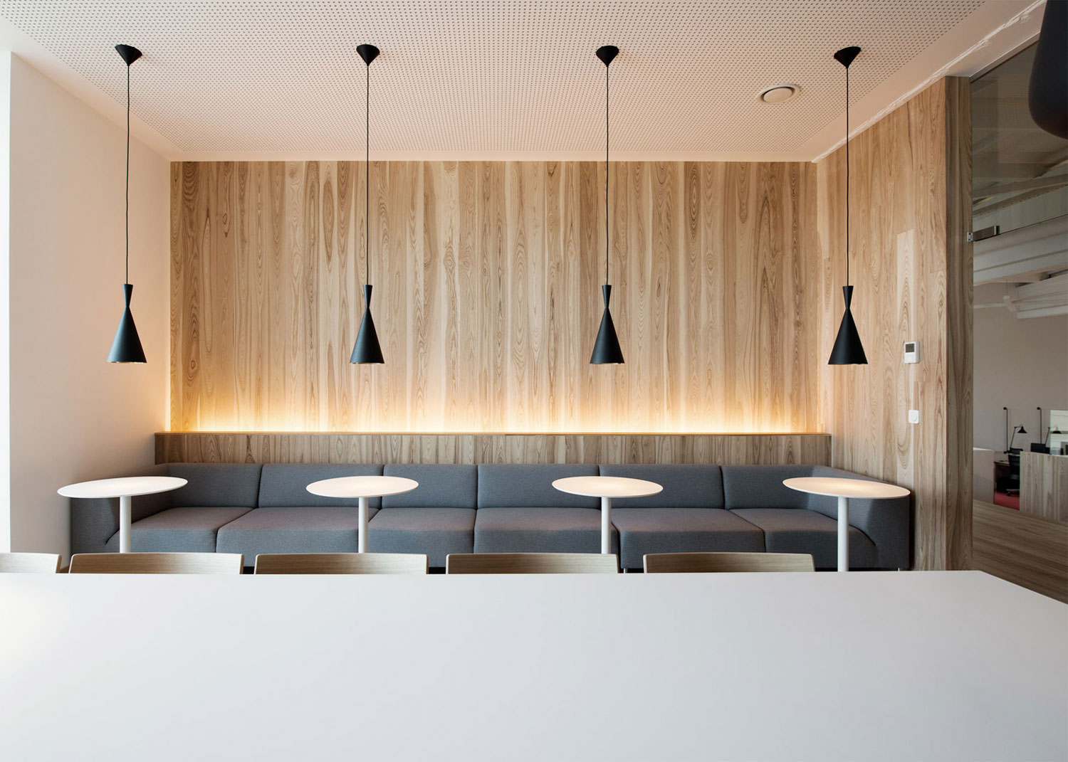 明亮的夏天森林 塔林, 爱沙尼亚-7