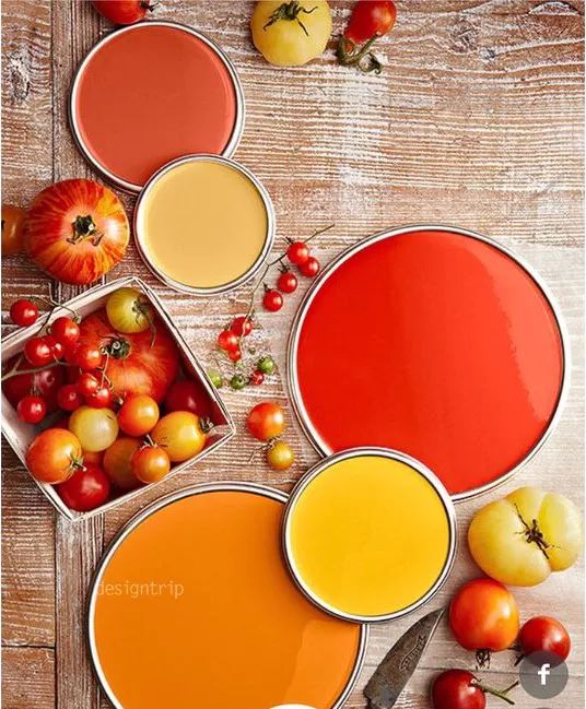 [色彩分享]最美的配色，来自于的大自然！-66