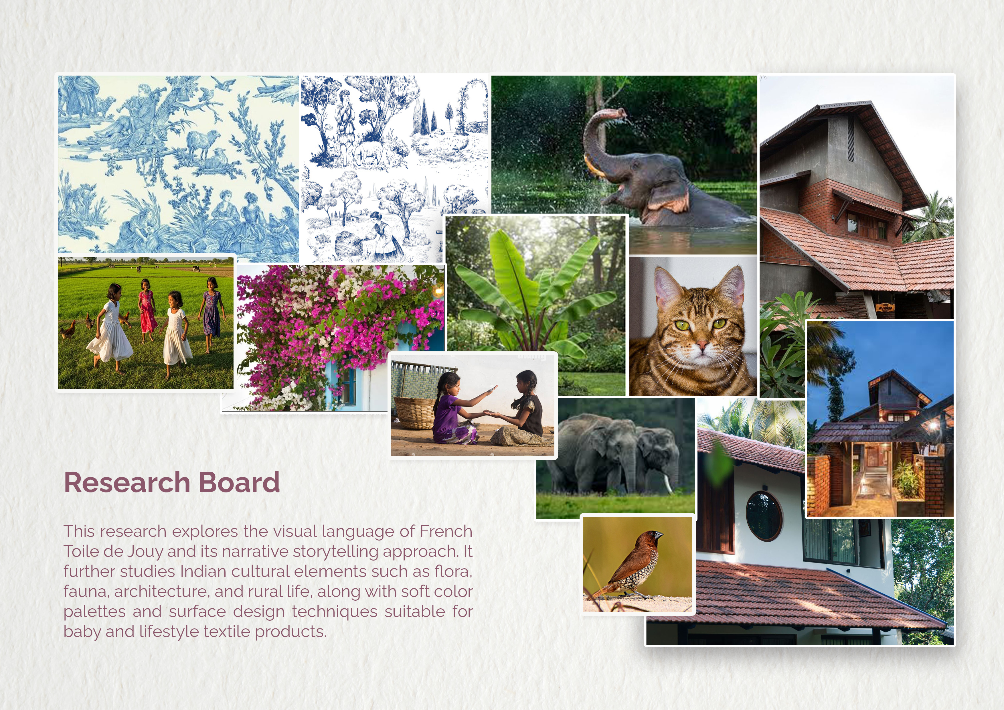 Indian Toile Surface Design Project-3