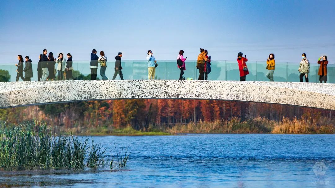 南昌市鱼尾洲湿地公园丨中国南昌丨北京土人城市规划设计股份有限公司-47