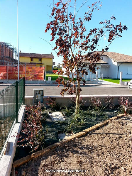 带花园的独栋别墅景观项目-11