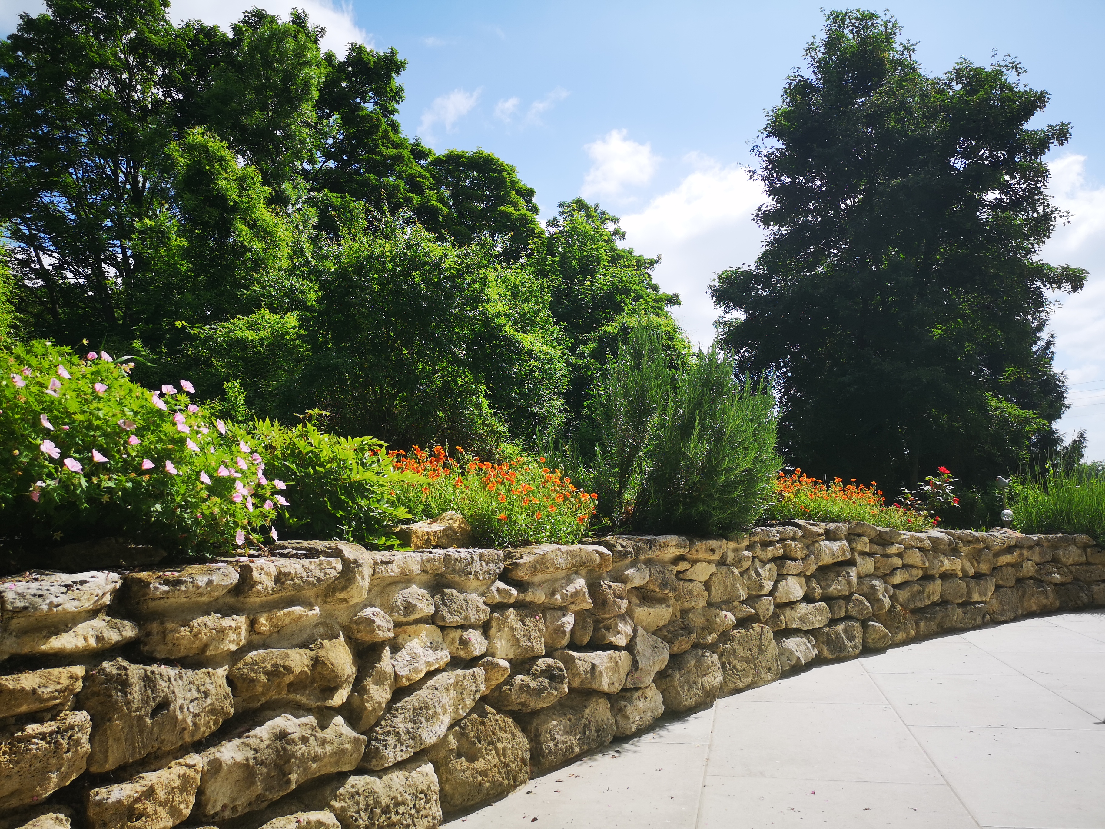 香槟苏瓦兹花园设计-14