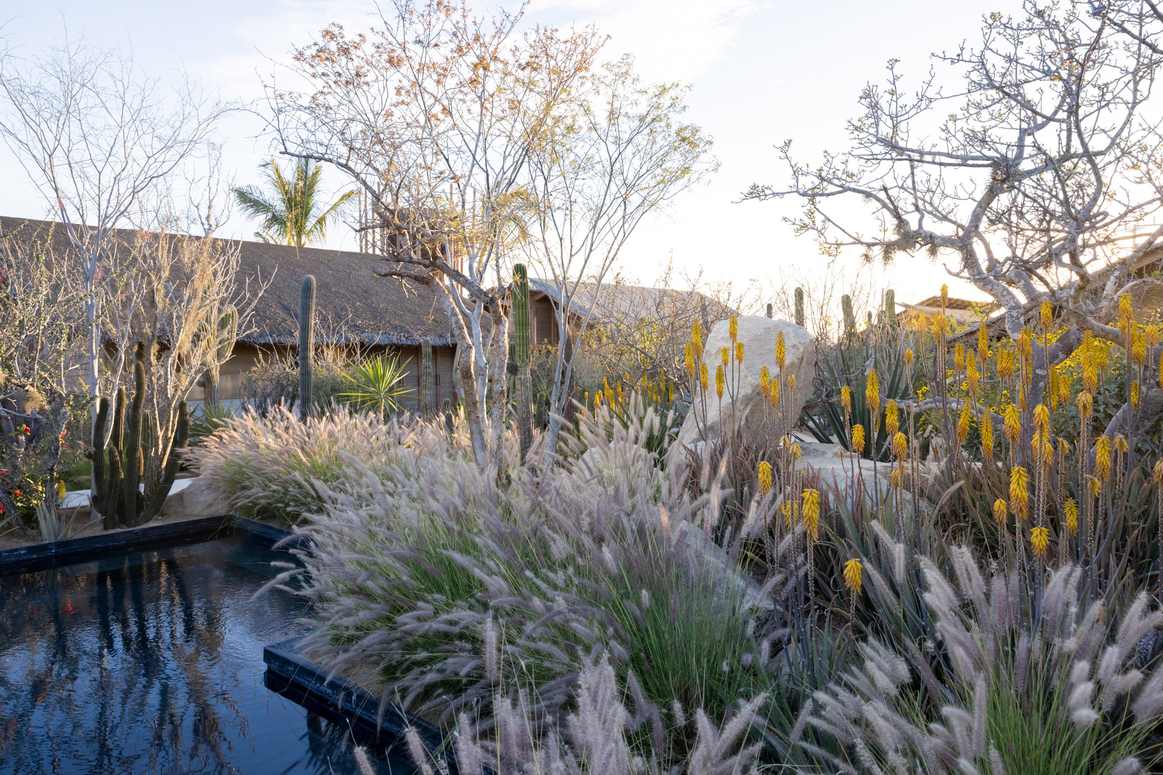 梅斯卡尔酒厂丨墨西哥丨Estudio ALA建筑工作室-58