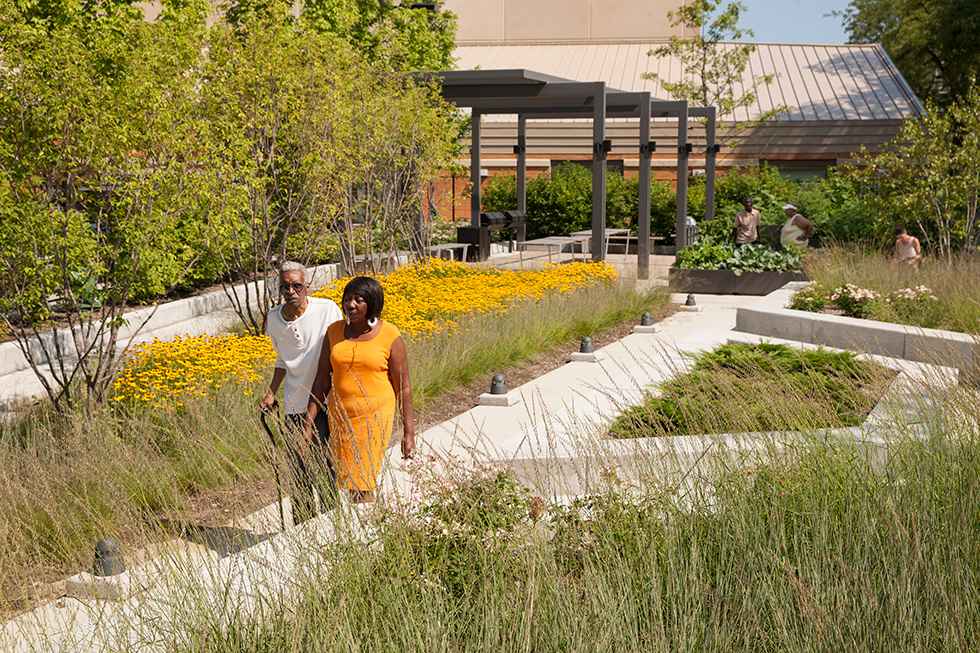 丨Site Design Group-18