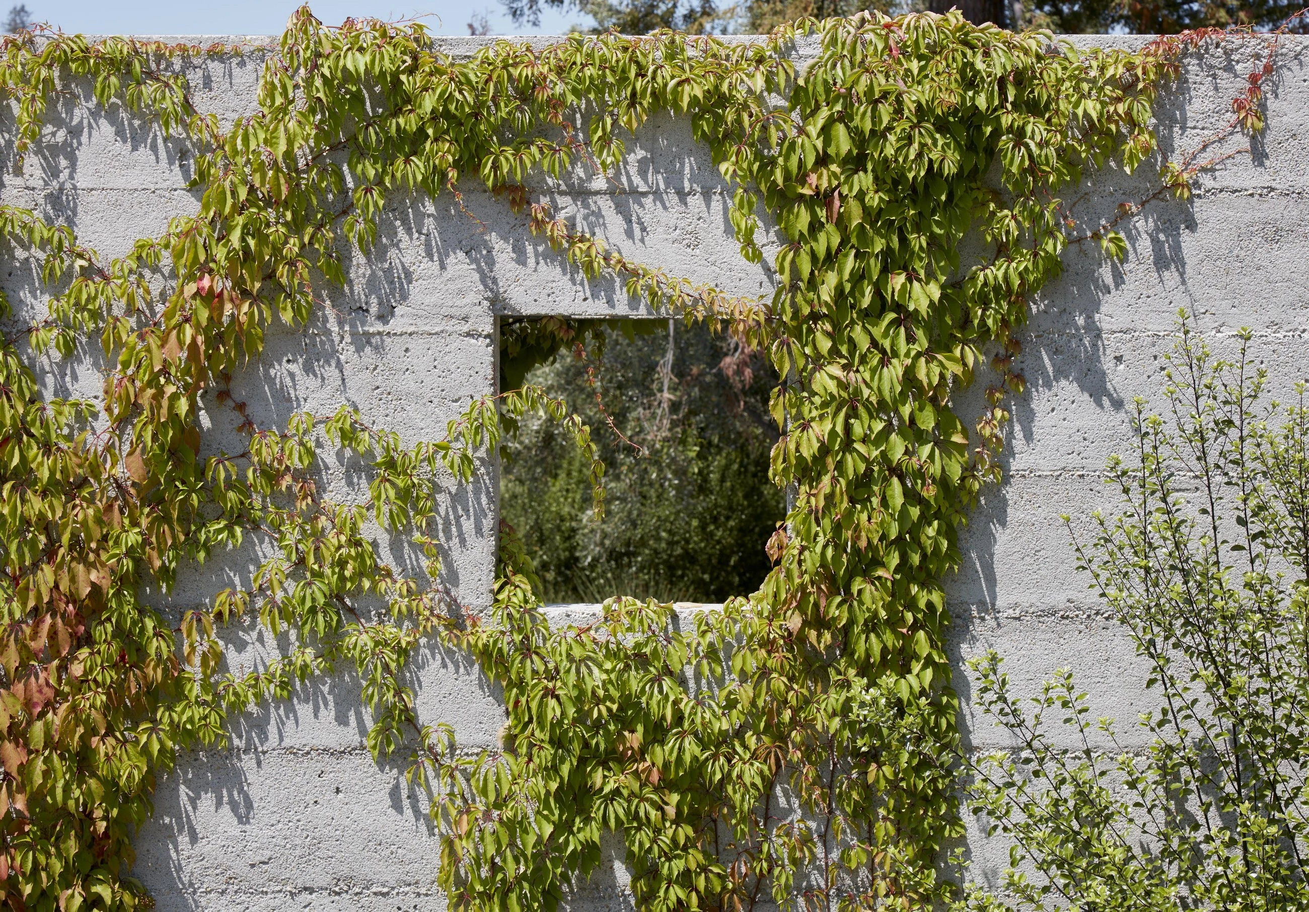 硅谷百年橡树林住宅-14