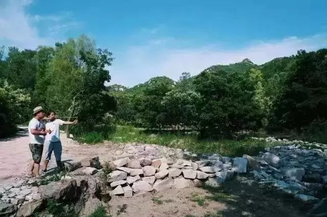四个老男孩租下2500亩山谷,用集装箱搭出梦想中的家!-170