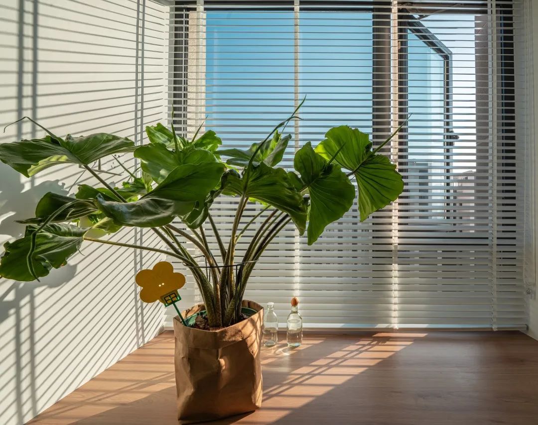 美食博主的 30㎡ loft公寓 一人居丨中国福州丨凤凰空间-38