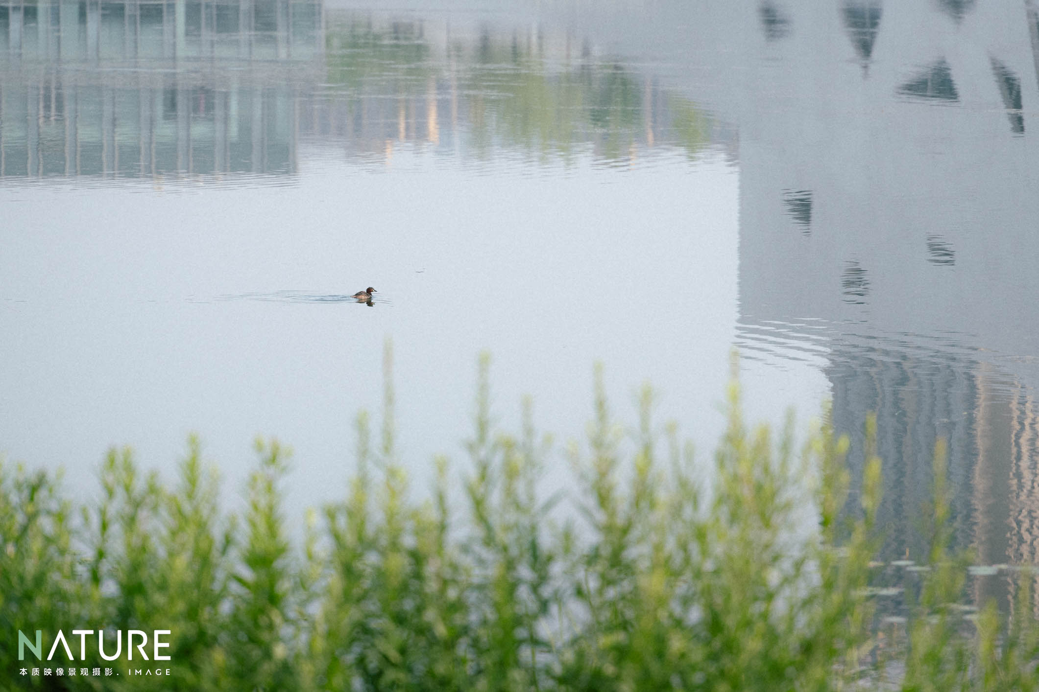 城市绿肺  临平东湖公园丨中国杭州丨柯剑波-20