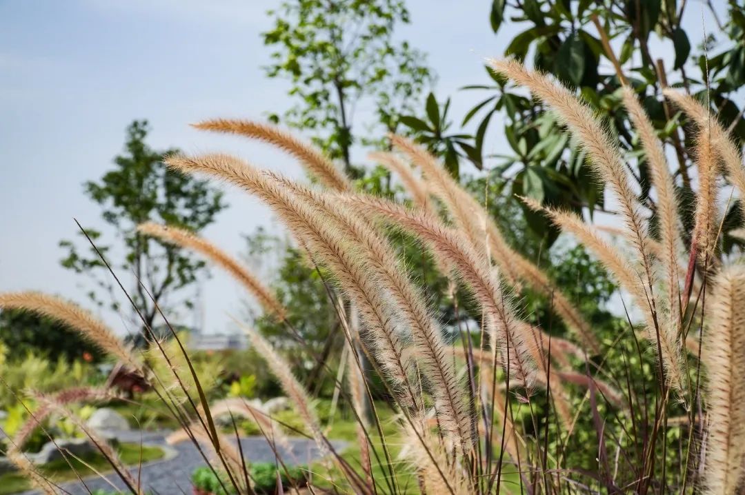 广汽丰田生态园·工业绿色风景线丨普邦设计-9