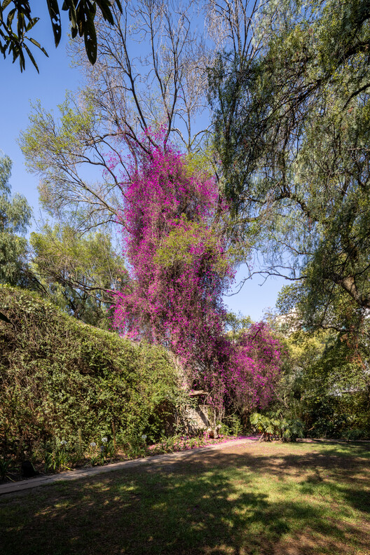 Casa Jardín Ortega（奥尔特加花园住宅）丨墨西哥墨西哥城丨Luis Barragán（路易斯·巴拉干）-43