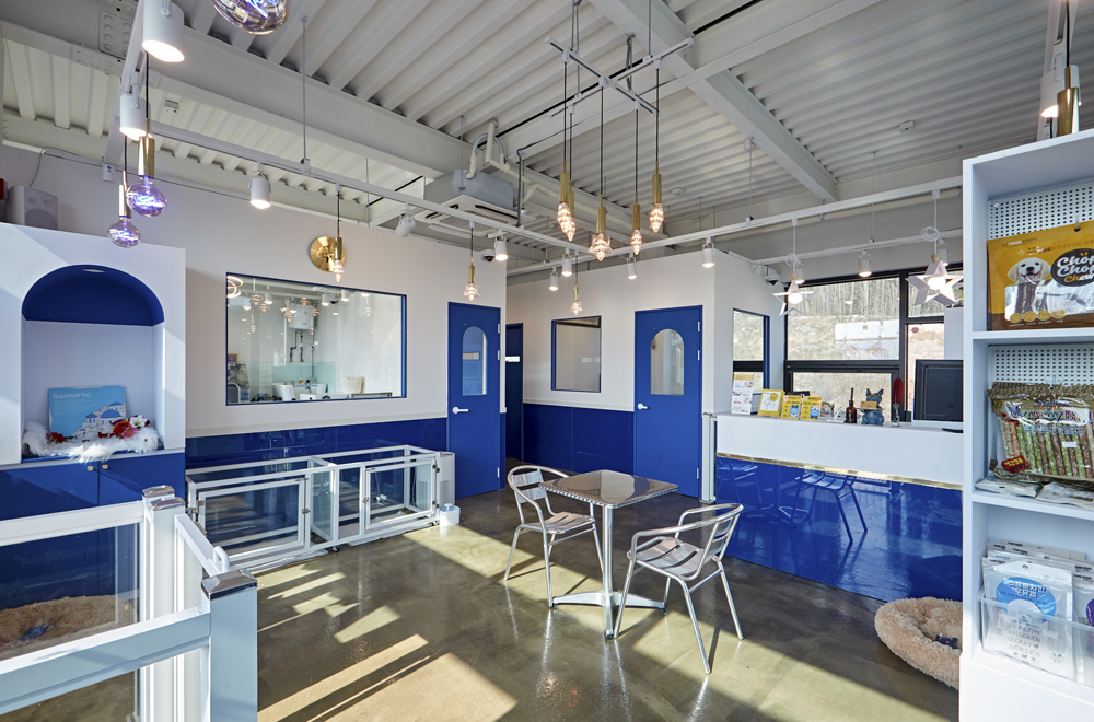 室内装饰的极致展现-4