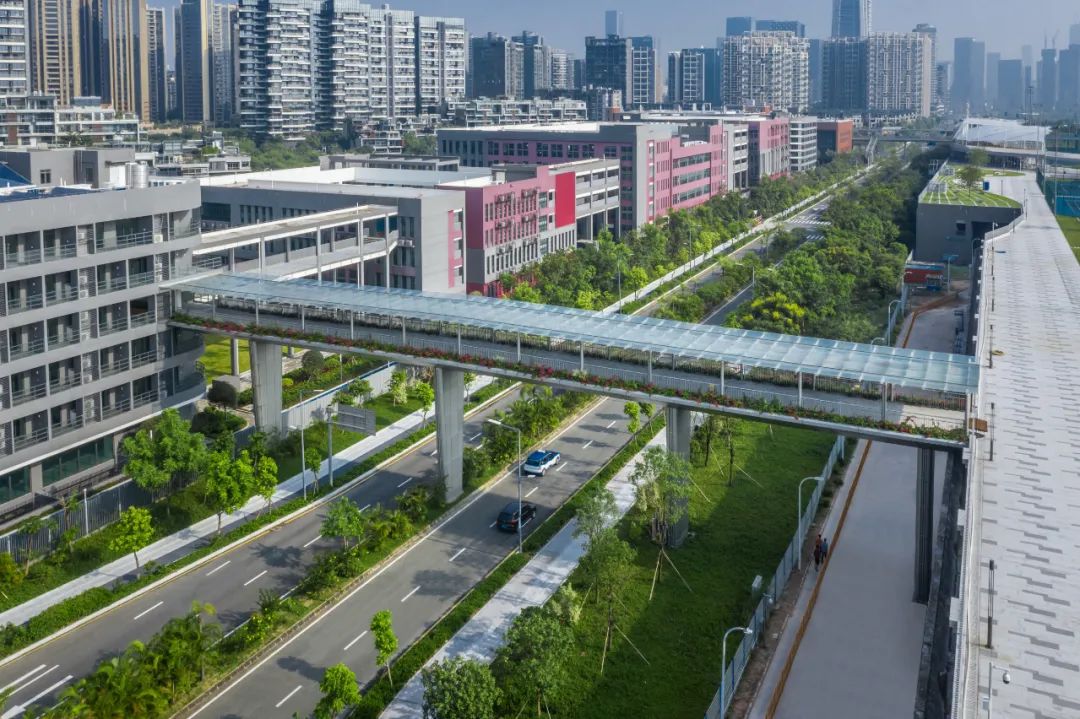 南山三桥 | 现代景观设计的人行天桥新篇章-68