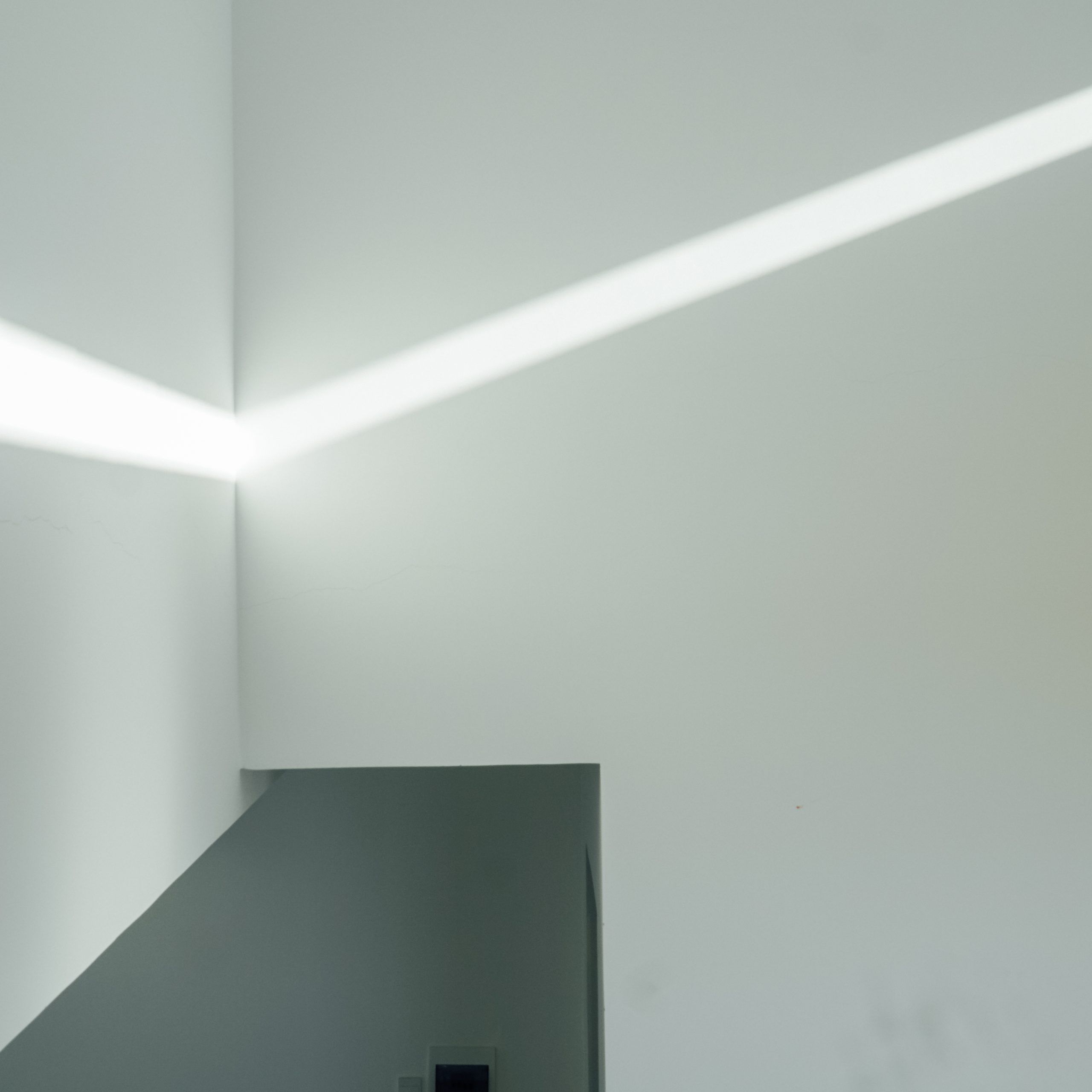 绿意盎然的四口之家-39