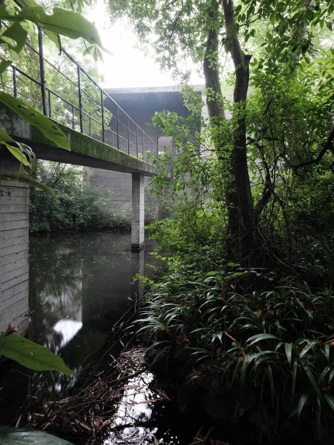 鹿野苑，经验与体验之间丨碎片笔记-60