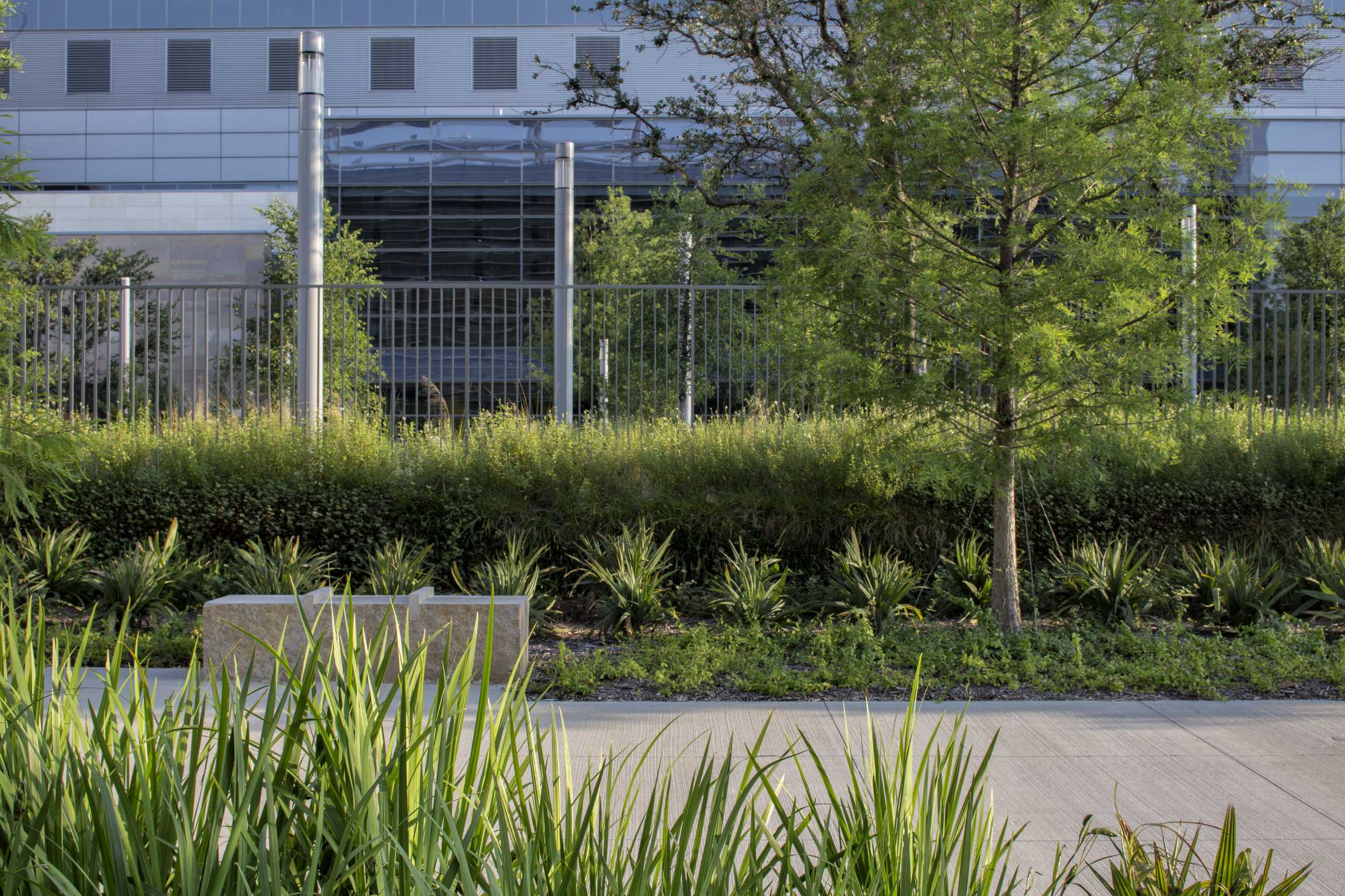 美国新帕克兰医院修复性景观-13