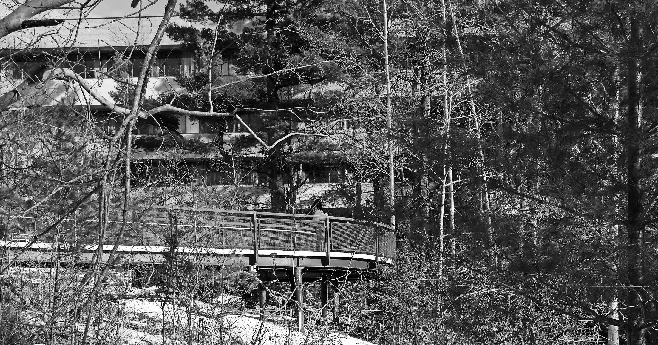 UofT - scarborough-19