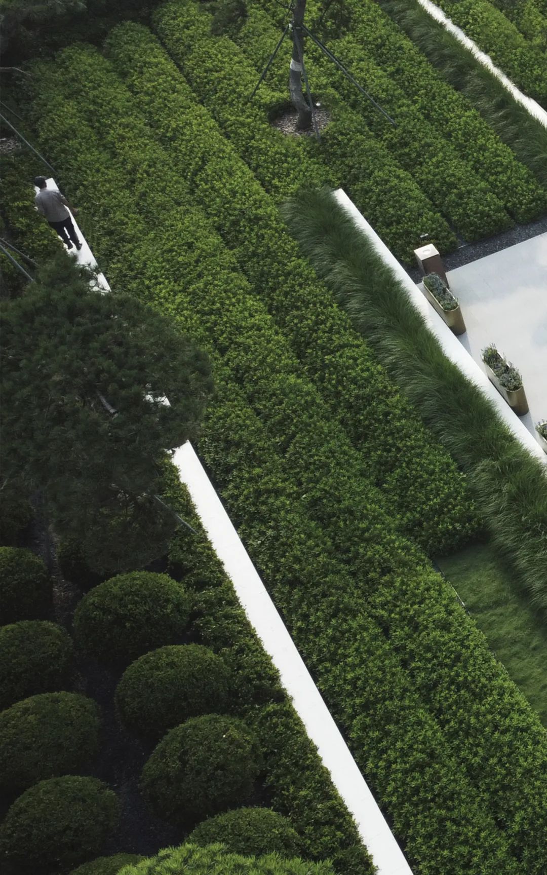 和熙碧影迎明月 | 绿城·沁香园-52