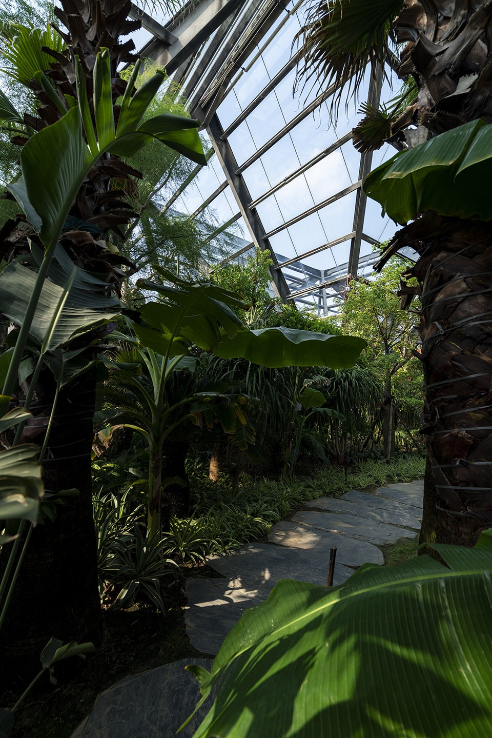 衡水植物园温室展览馆丨中国河北丨空格建筑-69