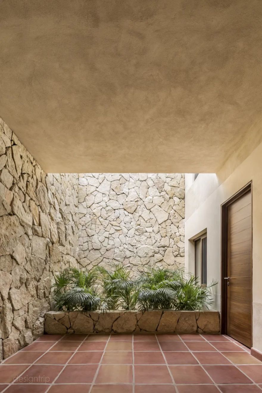 自然极简·度假别墅丨墨西哥工作室 PALMA-9