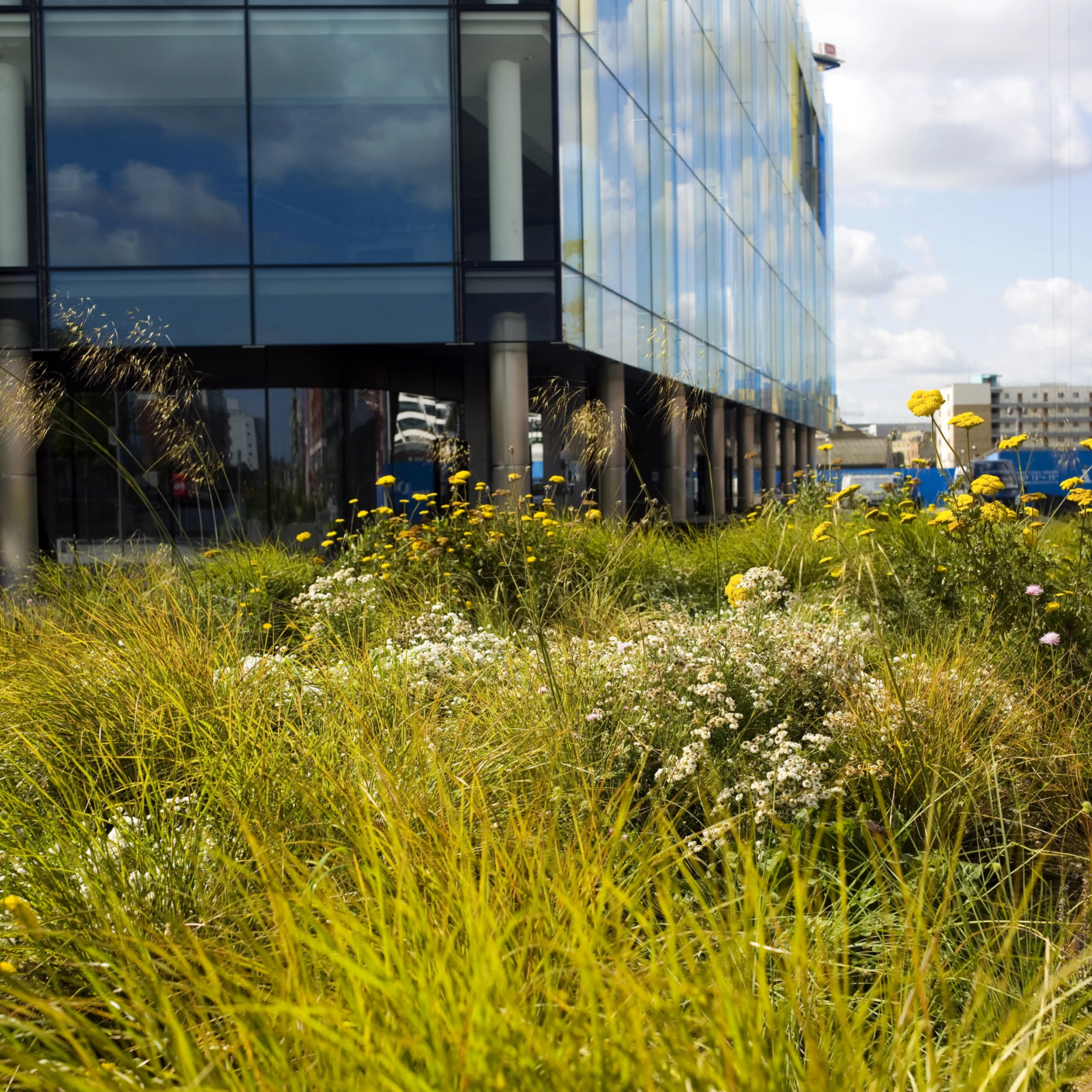 大运河广场·底层丨爱尔兰都柏林丨Martha Schwartz,Inc.-4