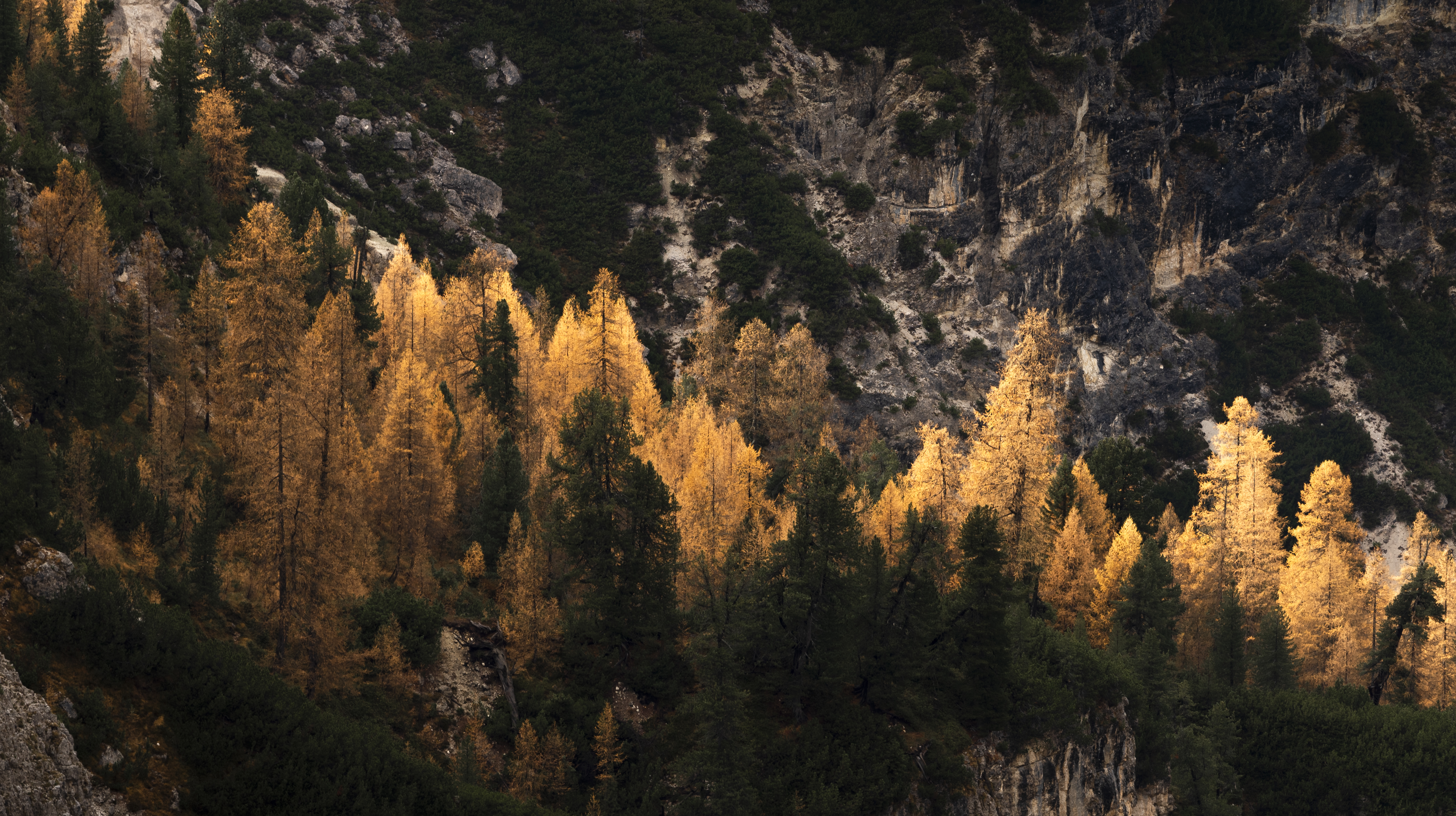 Dolomites 保护项目-7