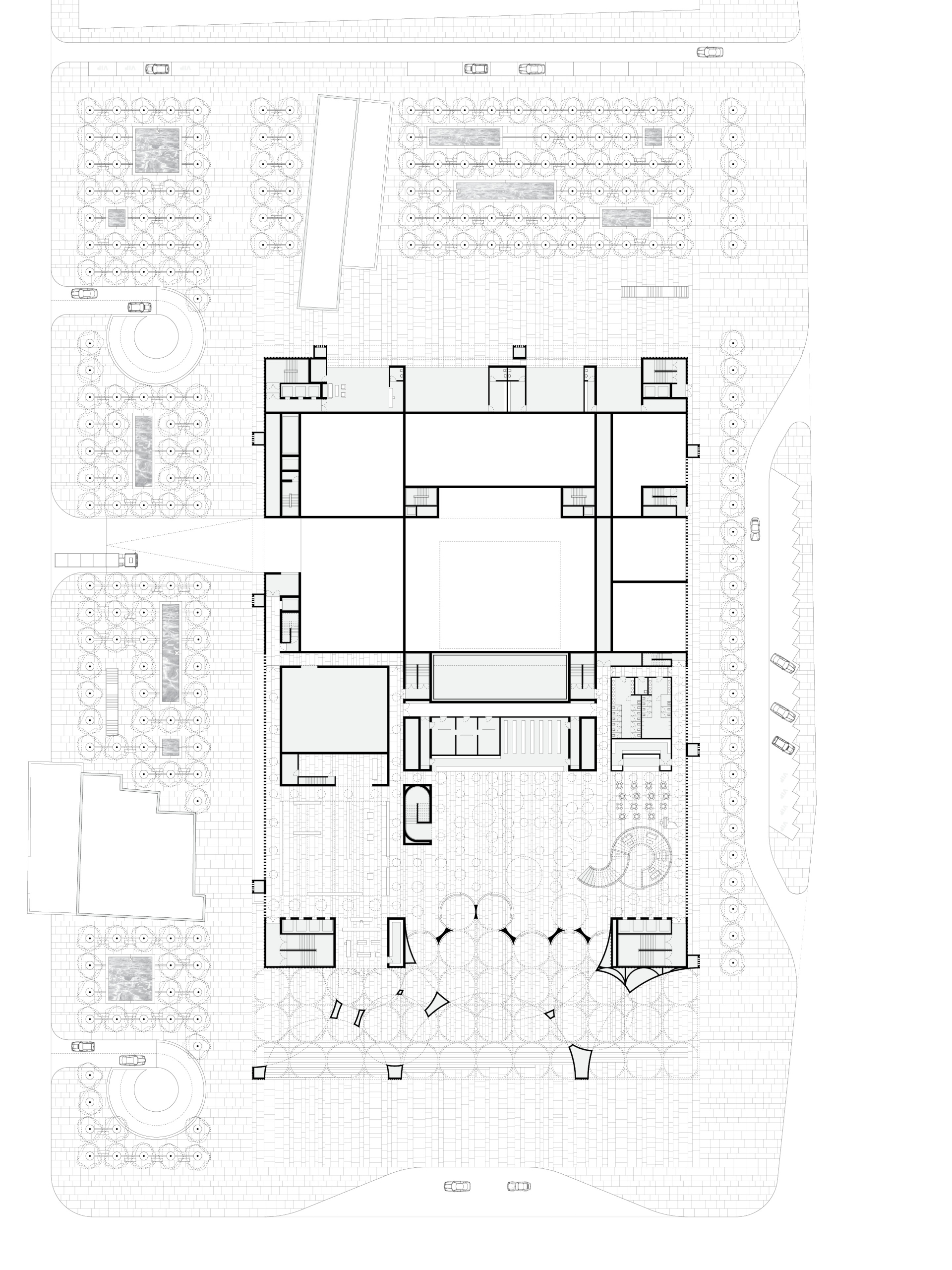 丨叙利亚丨Conser Syria-25